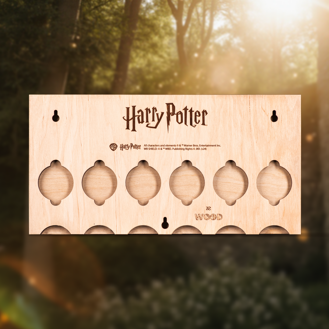 ГОҐВОРТС™ 3D КЛЮЧНИЦЯ З БРЕЛКАМИ - ГАРРІ ПОТТЕР