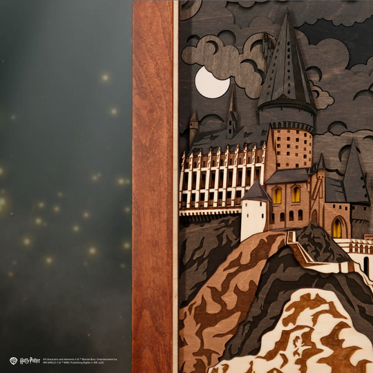 ГОДИННИК ГОҐВОРТС 2.0 - НІЧНЕ ВИДАННЯ