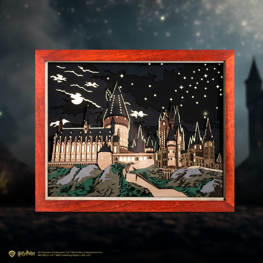 Licensed Harry Potter poster perfect for unique home decoration.