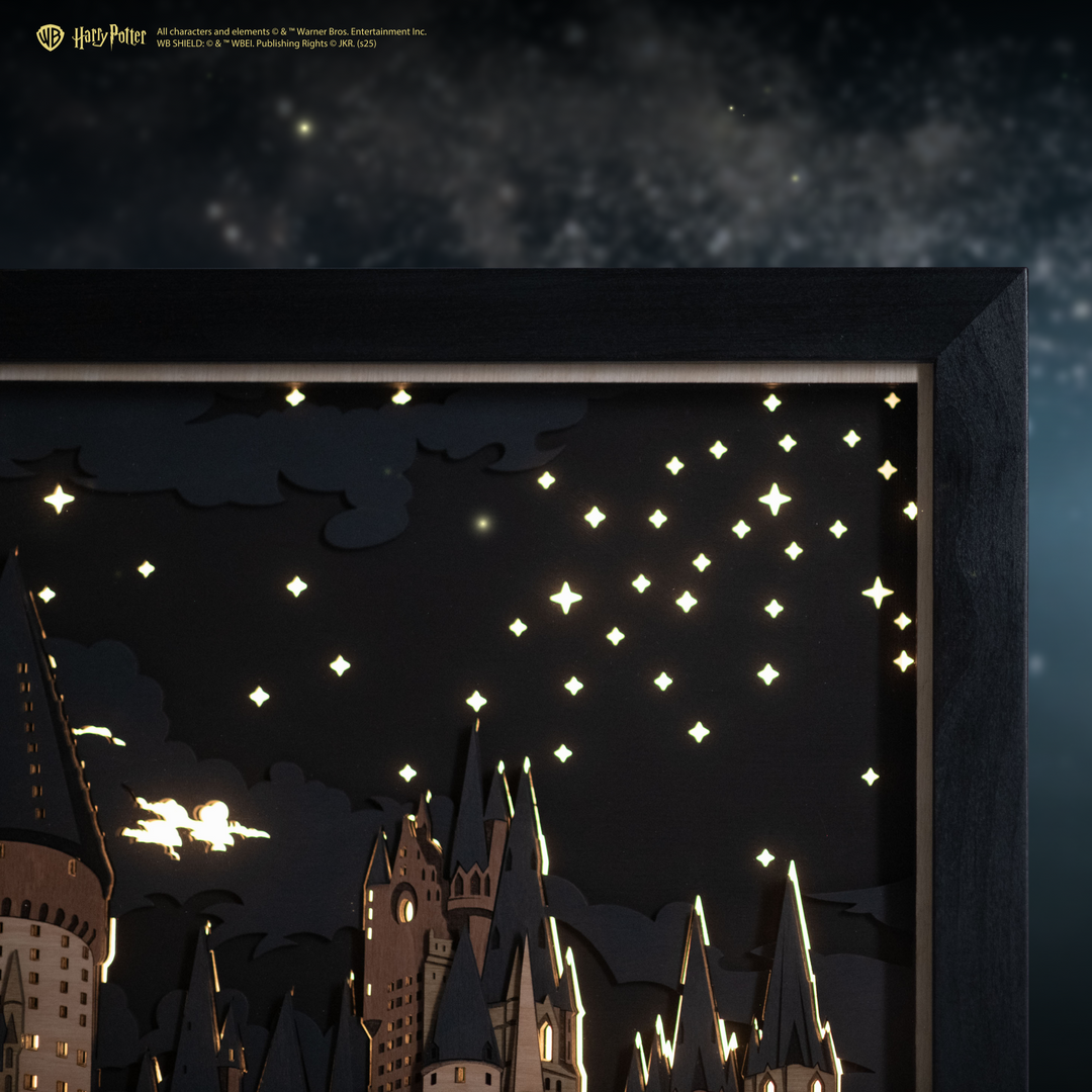 Hogwarts 3D wooden poster with free international express delivery.