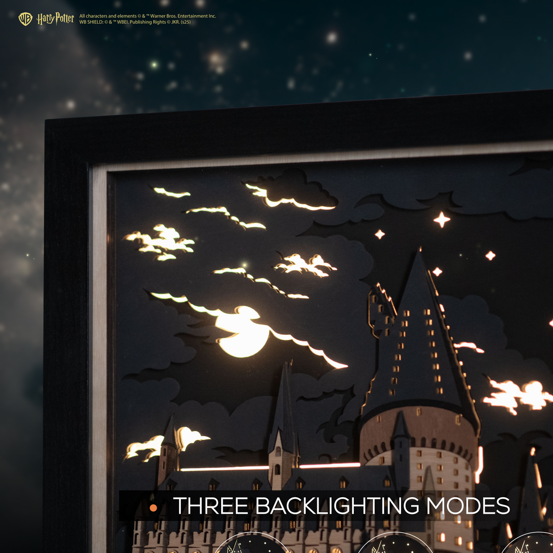 A magical fan gift: illuminated Hogwarts wall poster.