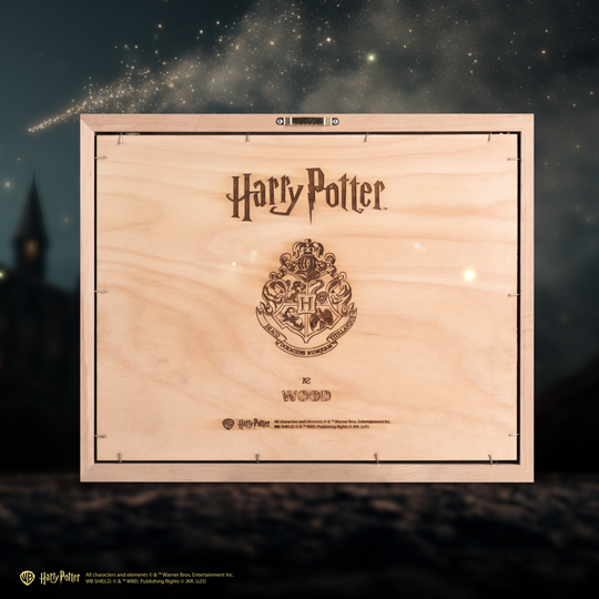 Magical Hogwarts 3D wall poster with customizable engraving.