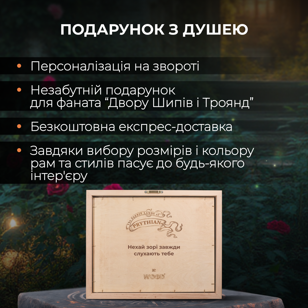 3Д ДЕРЕВ'ЯНА МАПА ПРИФІЇ