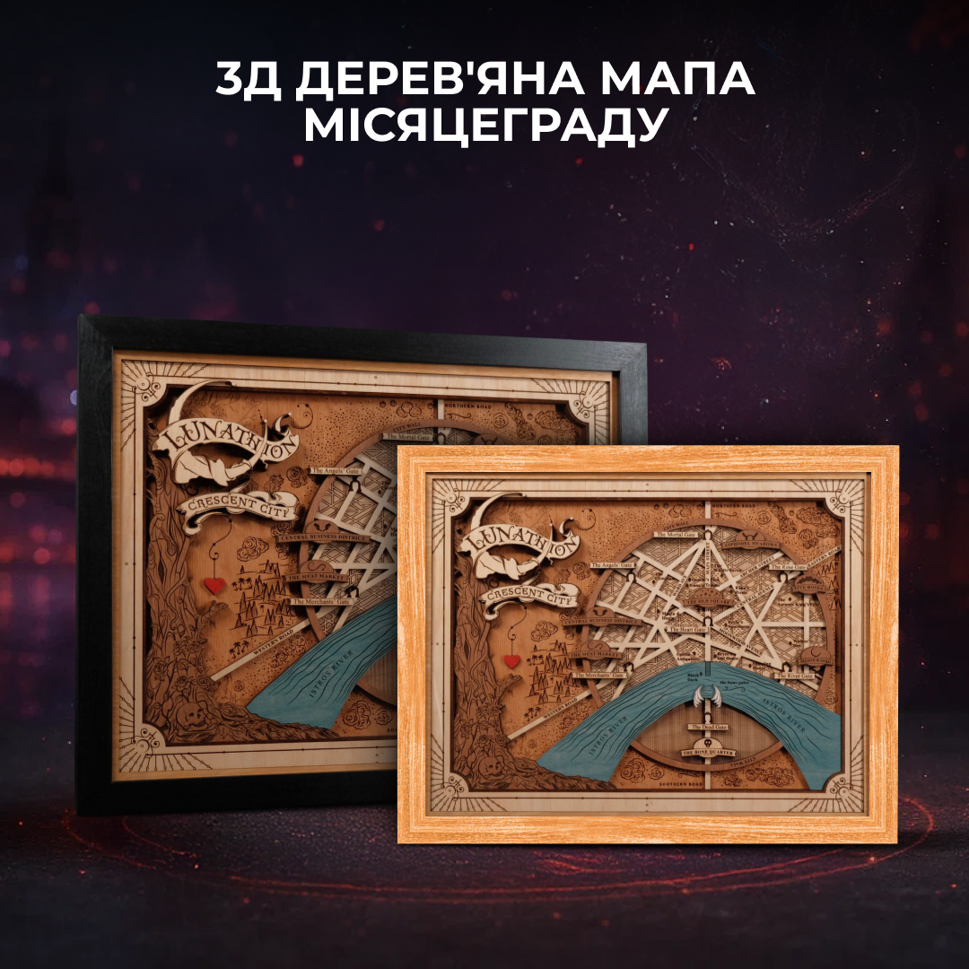 3Д ДЕРЕВ'ЯНА МАПА МІСЯЦЕГРАДУ