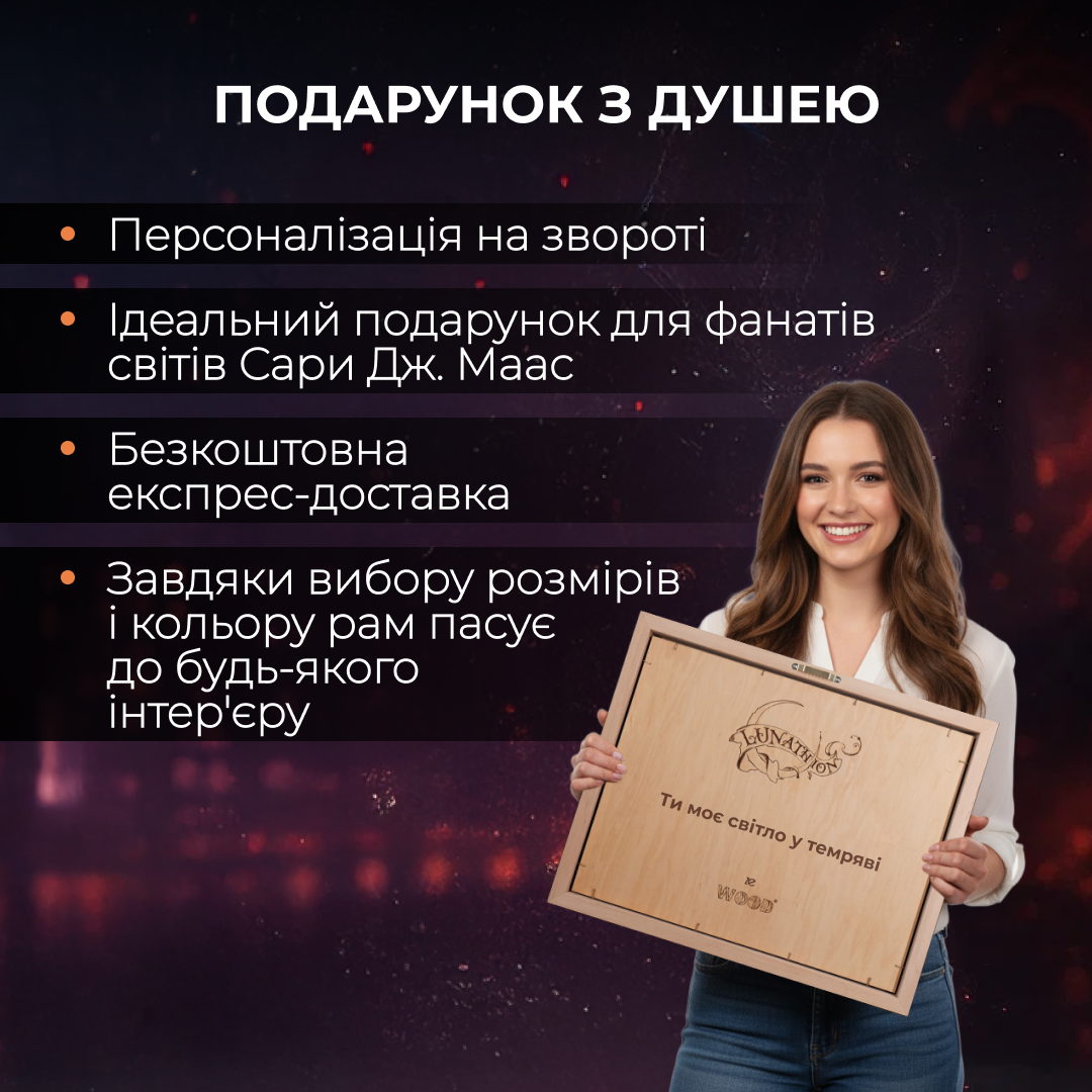 3Д ДЕРЕВ'ЯНА МАПА МІСЯЦЕГРАДУ
