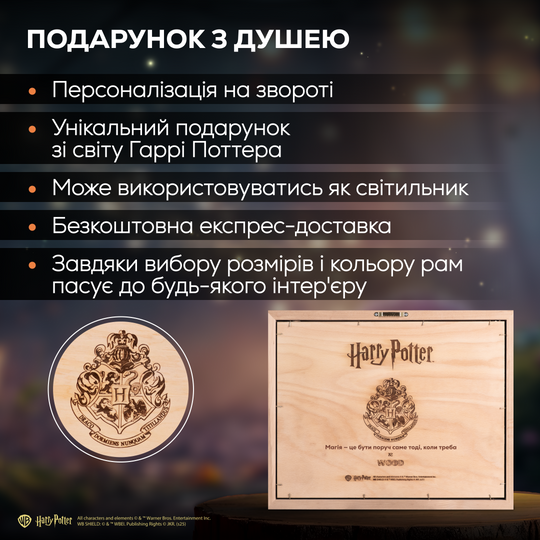 ГОҐВОРТС™ 3D КАРТИНА З LED ПІДСВІТКОЮ - ГАРРІ ПОТТЕР